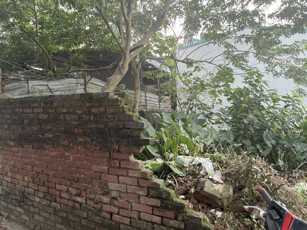 Hình ảnh Bán Thửa Đất 38,9m Ở Đồng Mai Hà Đông