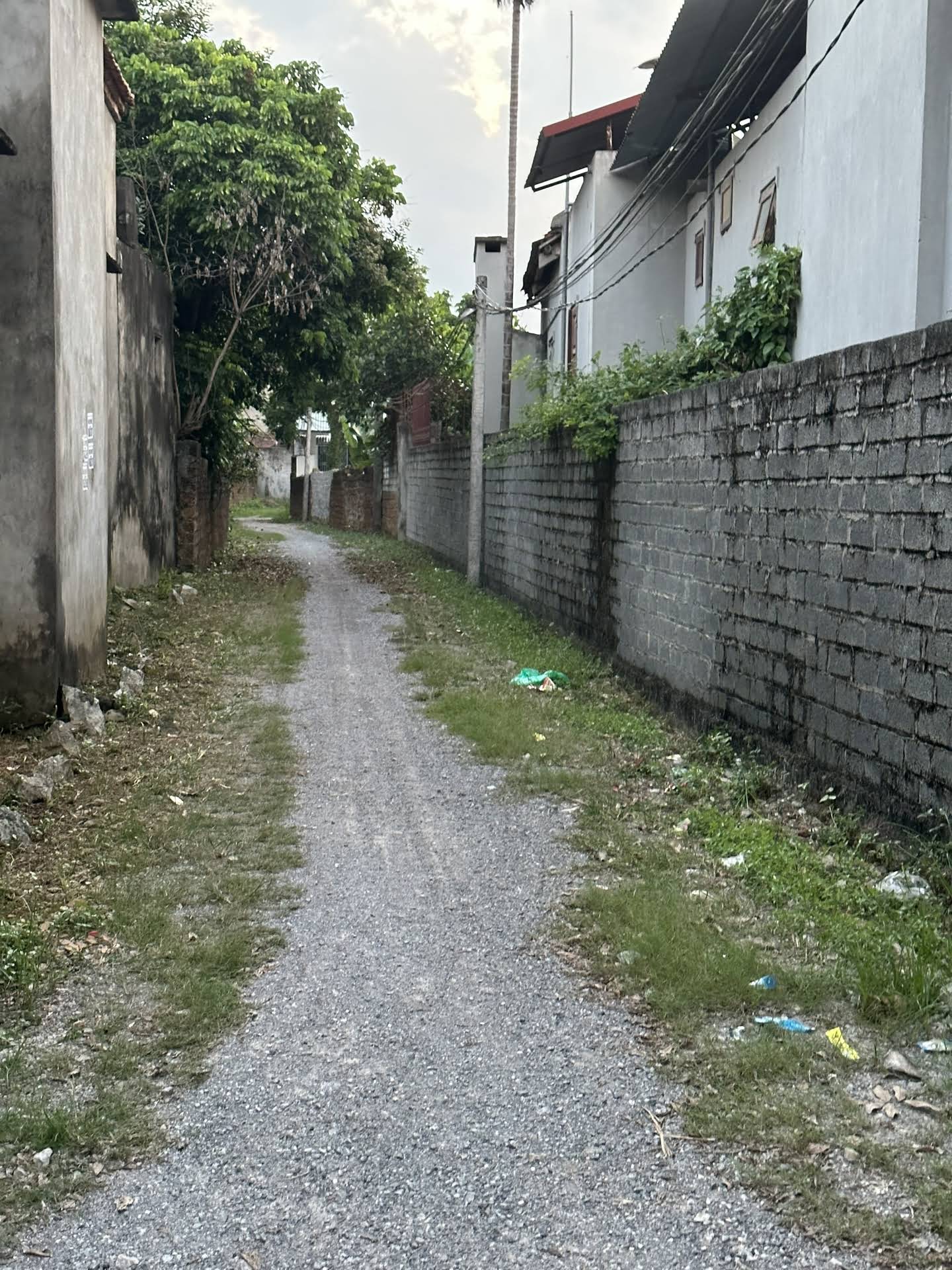 Hình ảnh Bán Đất Gần View Hồ Cực Thoáng Mát Ở Trần Phú Chương Mỹ