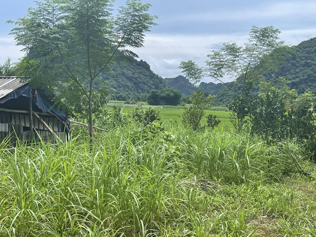 Hình ảnh Bán Lô Đất 162,7m Ở Đa Phúc Yên Thủy
